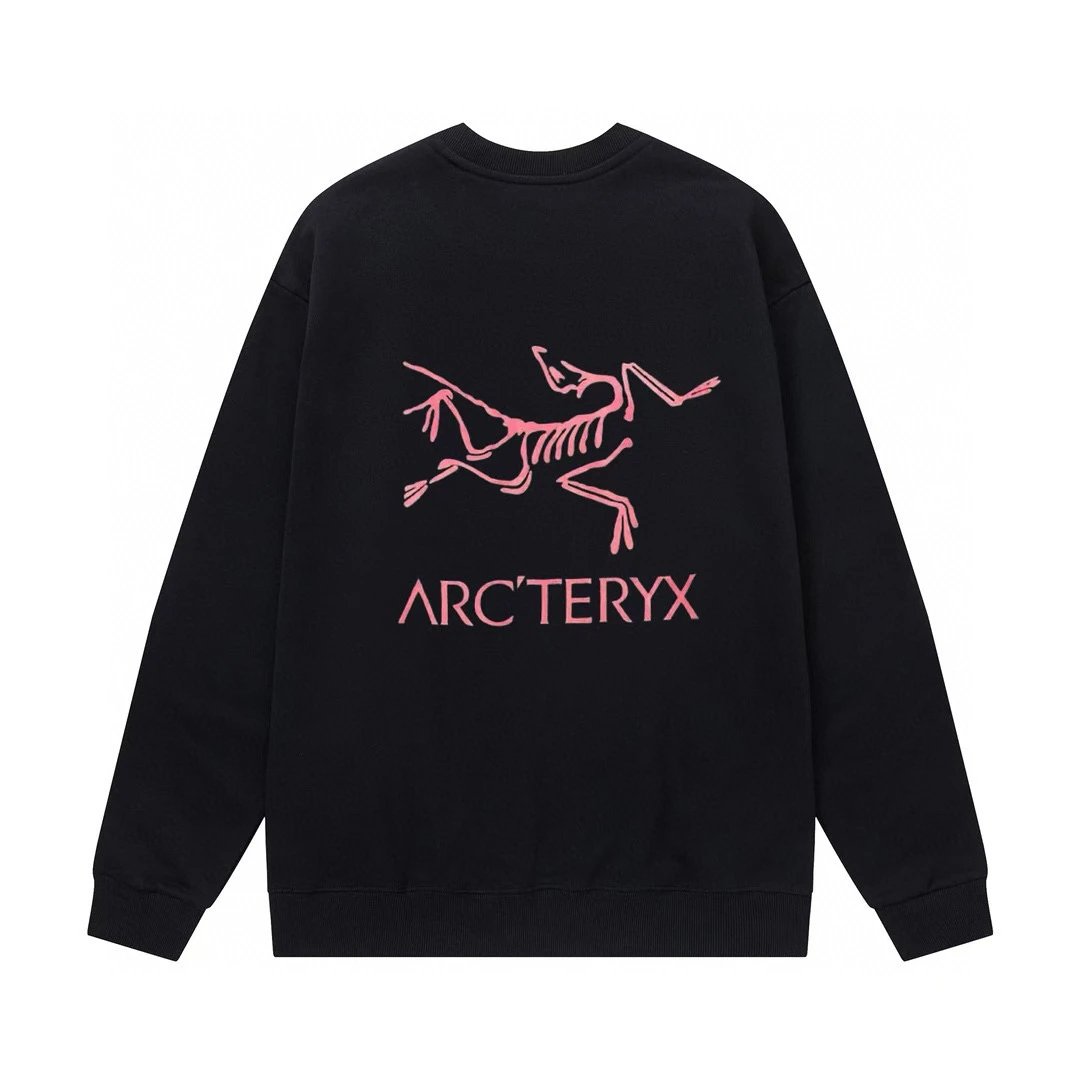 Arc'teryx Hoodie Top Version Counter Same Style Crew Neck Pullover Sweatshirt Top Men and Women Same Style Autumn and Winter Leisure