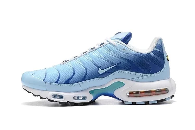 Nike Air Max Plus shoes max plus Youth Sneaker