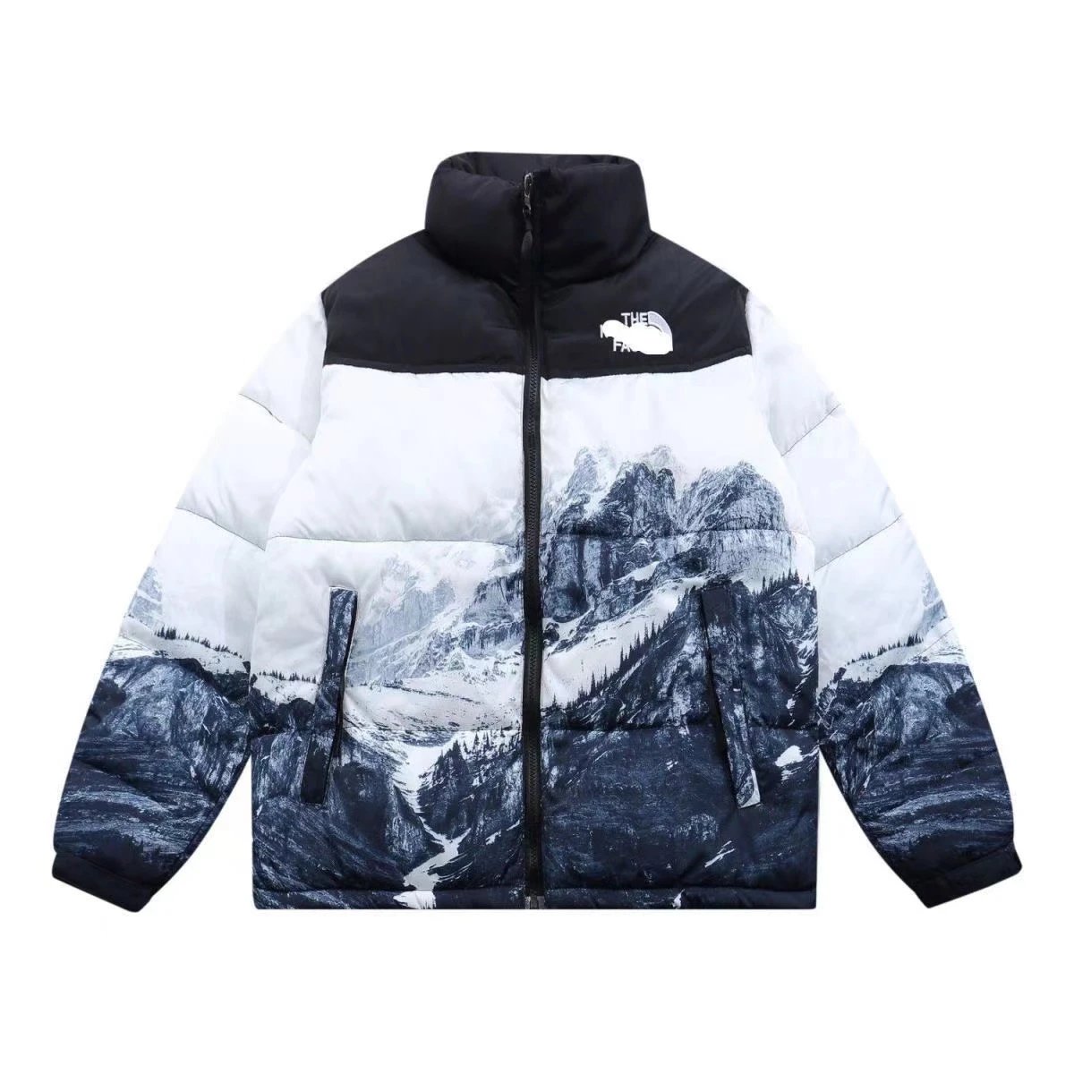 The North Face Down jacket Men's and Women's Same down Jacket Winter Print Coat