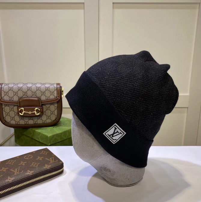 Louis Vuitton LV Hat New Fashion Hat-CY