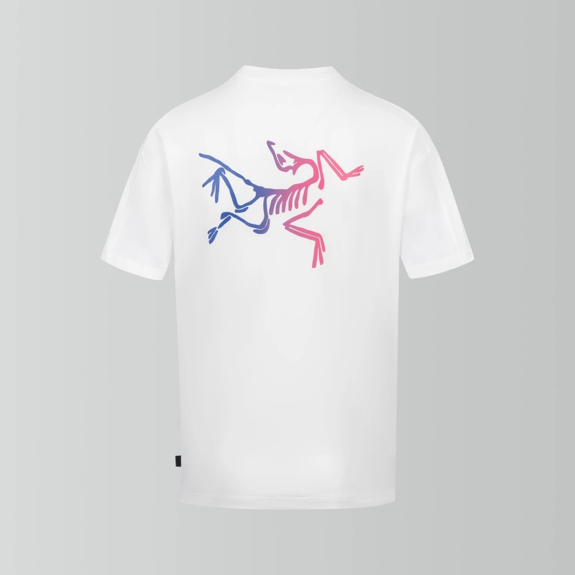 Arc'teryx T-shirt Back Gradient Color Bird Pattern Print logo round Neck Short Sleeve25ss New pure cotton T Unisex T-Shirt OS Drop Shoulder Loose Fit Base Shirt Top T-Shirt Short Sleeve