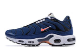 Nike Air Max Plus shoes max plus Youth Sneaker