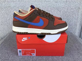 Nike Dunk Low shoes