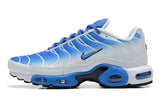 Nike Air Max Plus shoes max plus Youth Sneaker