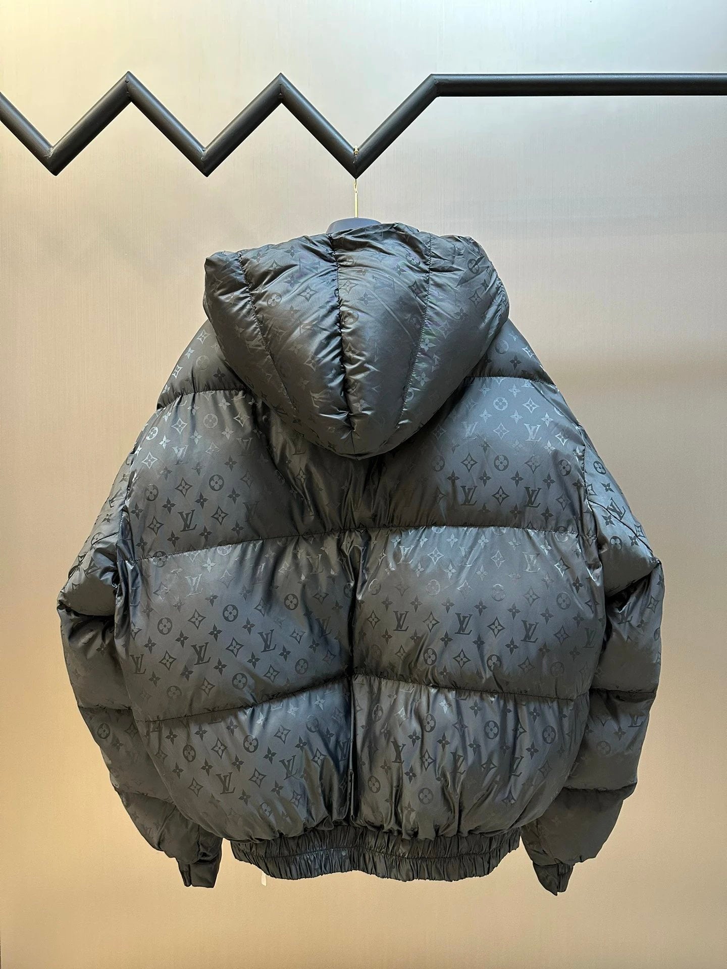 Louis Vuitton LV Down Jacket SKI Ski Series Printed Hooded Zipper Jacket Full Length Monogram Patterned Jacket Unisex Autumn Winter New Sports Casual Loose Fit Versatile