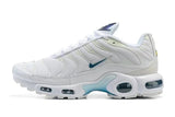 Nike Air Max Plus shoes max plus Youth Sneaker