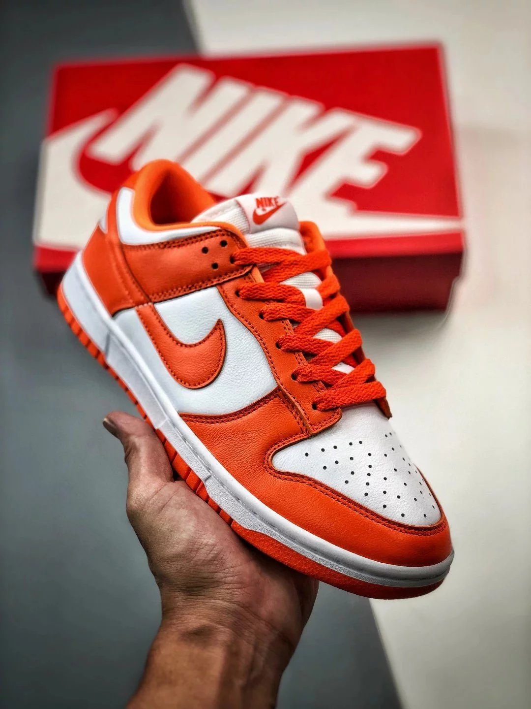 Nike Dunk Low shoes