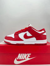 Nike Dunk Low shoes