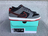 Nike Dunk Low shoes