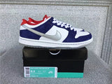 Nike Dunk Low shoes