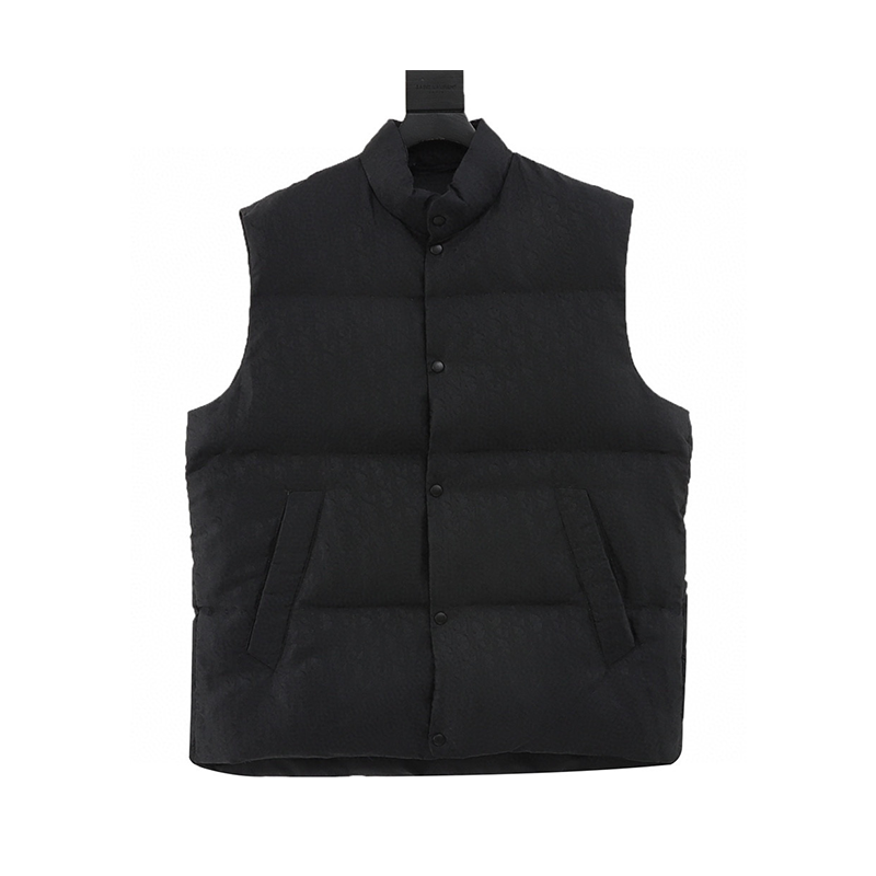 Dior Down Jacket New Button Presbyopic down Vest for Men and Women