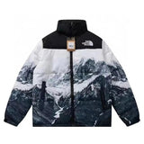 The North Face Down jacket High Quality Cotton-Padded Jacket001