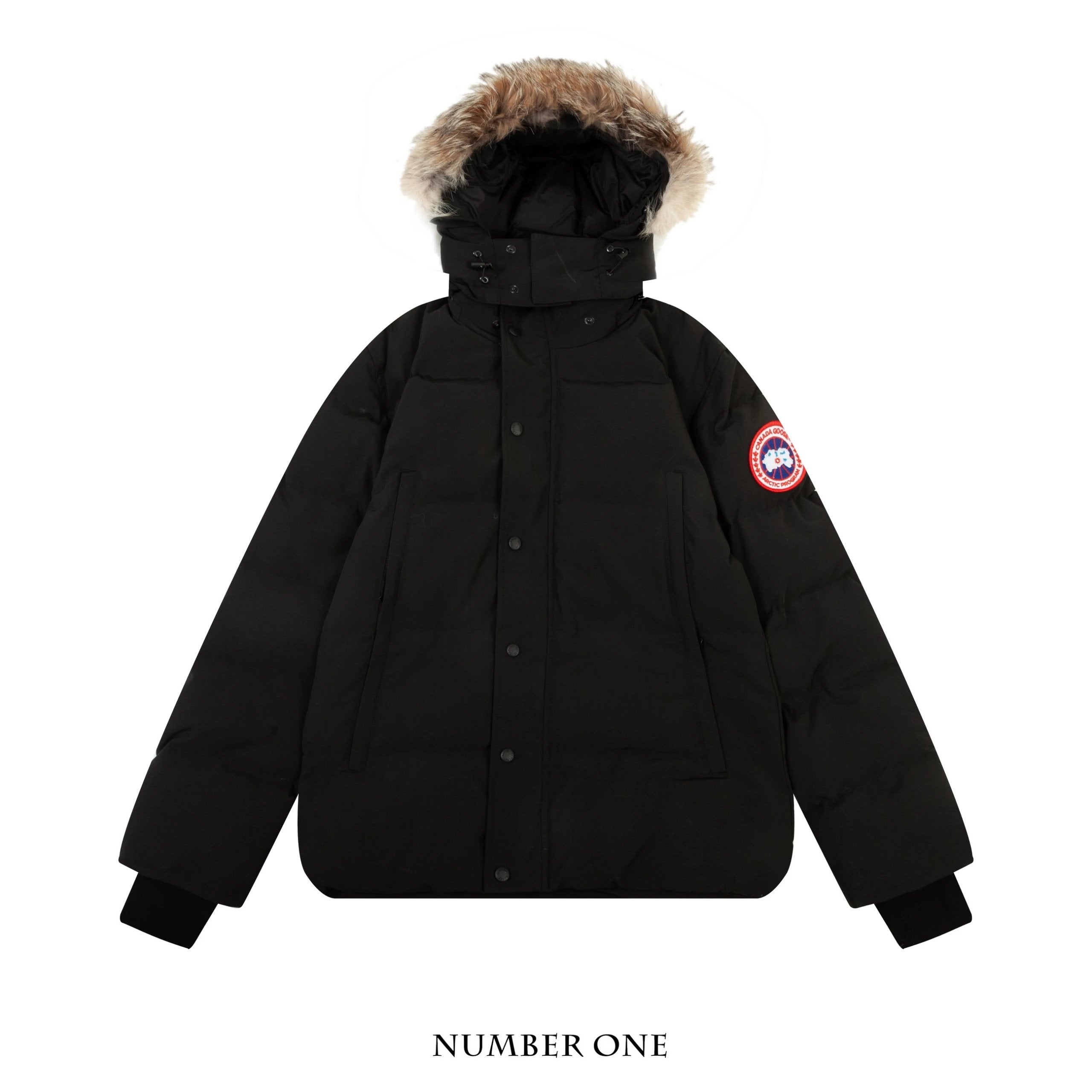 Canada Goose Down Jacket Classic All-Matching down Jacket005