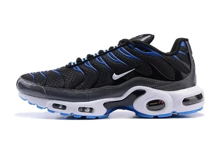 Nike Air Max Plus shoes max plus Youth Sneaker