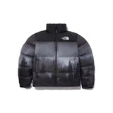 The North Face Down jacket High Quality Cotton-Padded Jacket001