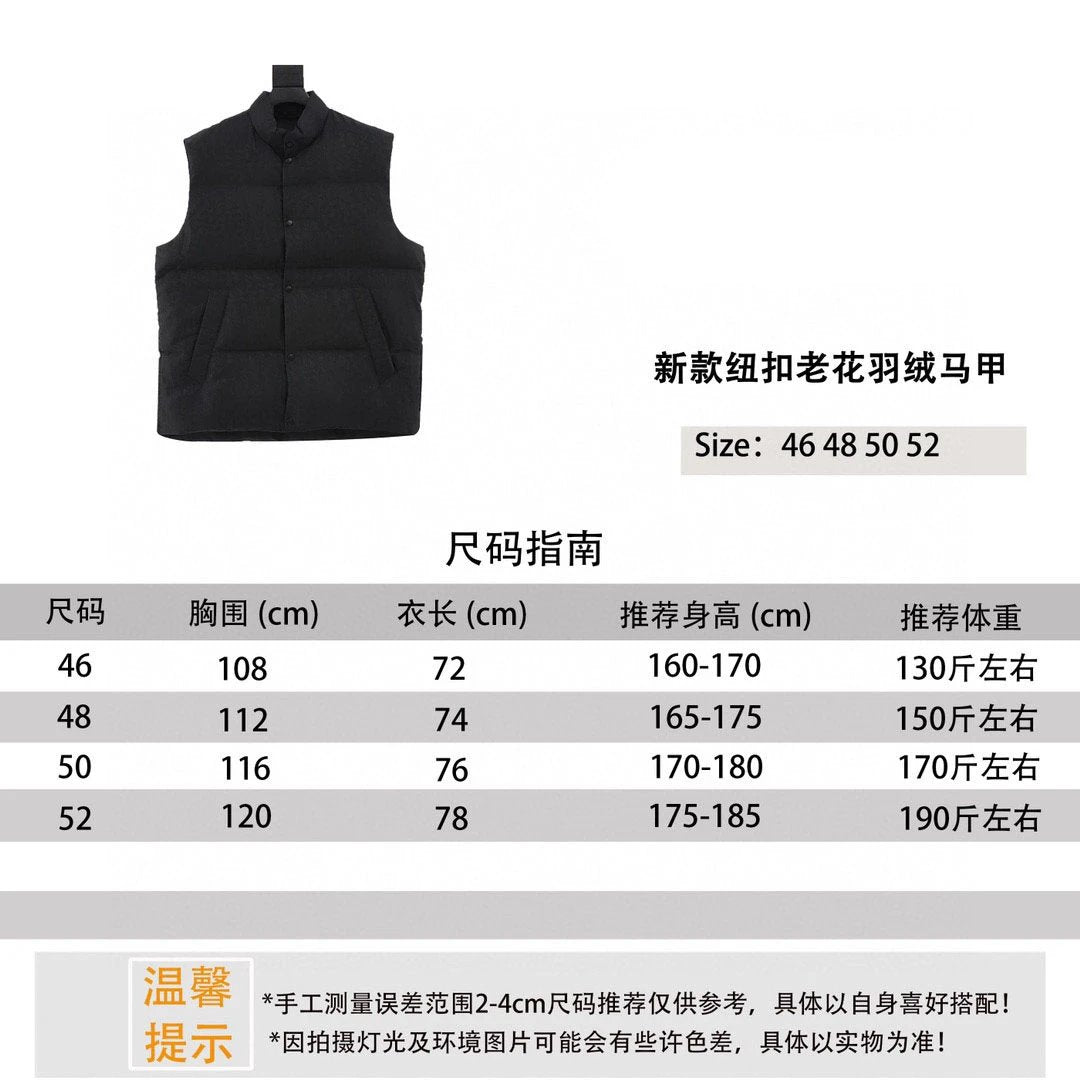 Dior Down Jacket New Button Presbyopic down Vest for Men and Women