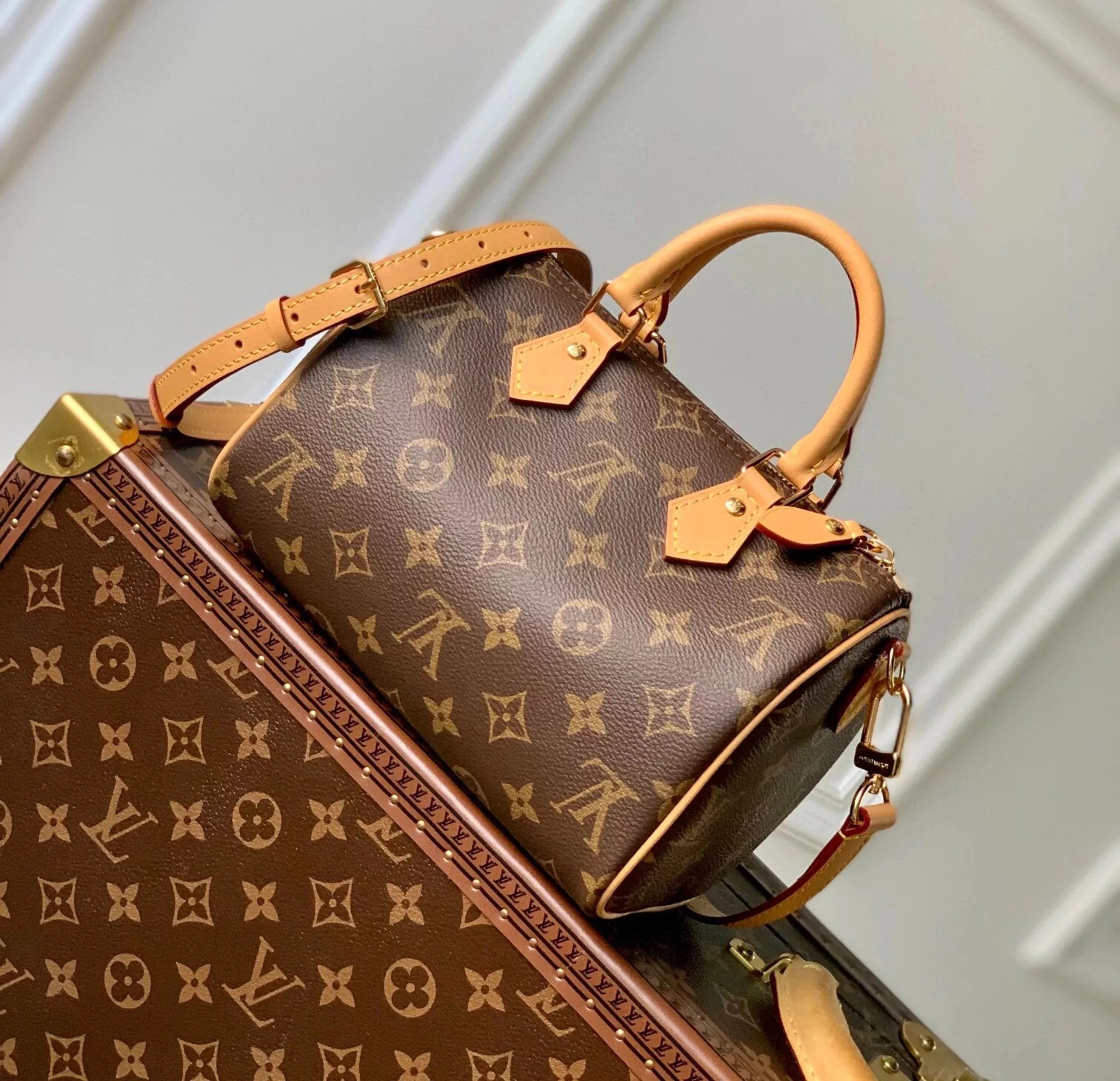 Louis Vuitton LV Women's Bag Top version Original Leather2023New Speed20Handbag Presbyopic Pillow Bag Shoulder Crossbody Handbag M81086