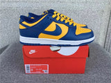 Nike Dunk Low shoes