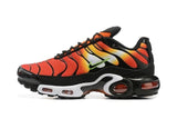 Nike Air Max TN shoes T`N High Quality Sneakers