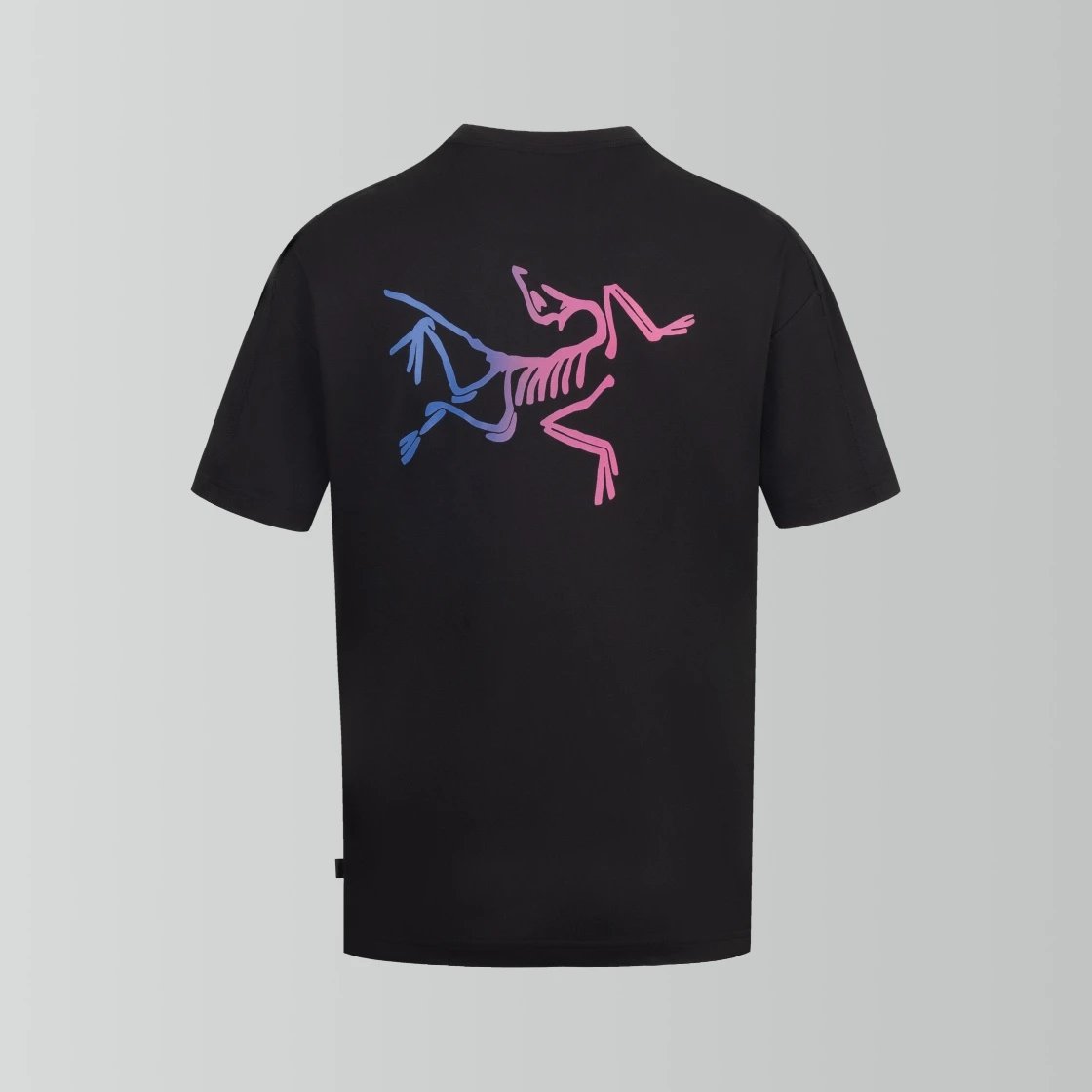 Arc'teryx T-shirt Back Gradient Color Bird Pattern Print logo round Neck Short Sleeve25ss New pure cotton T Unisex T-Shirt OS Drop Shoulder Loose Fit Base Shirt Top T-Shirt Short Sleeve