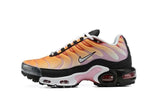 Nike Air Max TN shoes T`N High Quality Sneakers