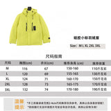 Louis Vuitton LV Down Jacket Silicone Small Icon down Jacket Same Style for Men and Women