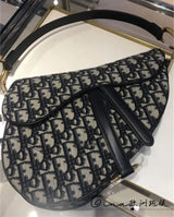 Dior Bag New Fashion Trendy Bags-CY