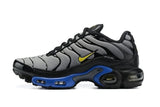 Nike Air Max TN shoes T`N High Quality Sneakers