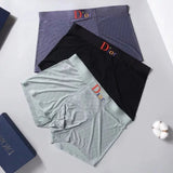 Dior Underwear High Quality Men's Underwear