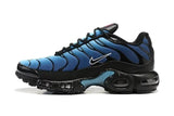 Nike Air Max Plus shoes max plus Youth Sneaker