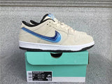 Nike Dunk Low shoes