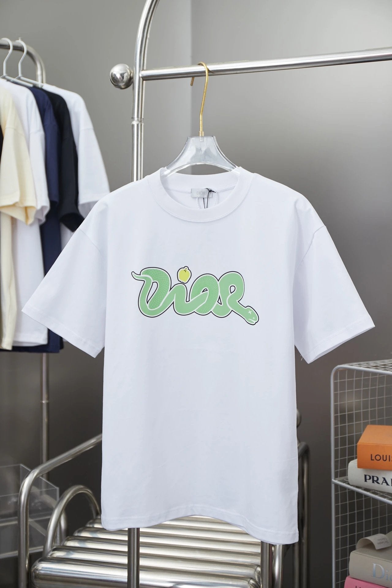 Dior T-shirt Early Spring New Snake Year Limited Edition Printed Crew Neck Short Sleeve New Pure Cotton Unisex T T-shirt OS Loose Fit Base Shirt Short Sleeve Top T-Shirt