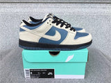 Nike Dunk Low shoes